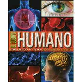 Cuerpo Humano. Como Funciona El Cuerpo. De La Cabeza a Los Pies