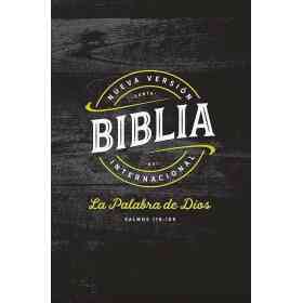 Santa Biblia Nvi Negra