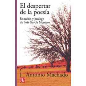 El Despertar De La Poesia