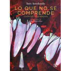 Lo Que No Se Comprende