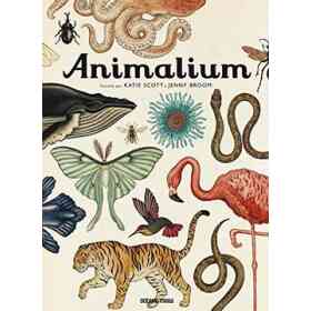 Animalium