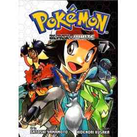 Pokemon Black & White 07