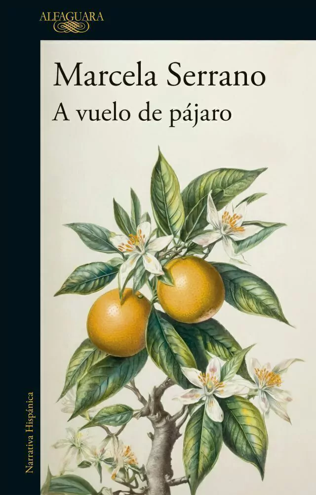 A Vuelo De Pajaro
