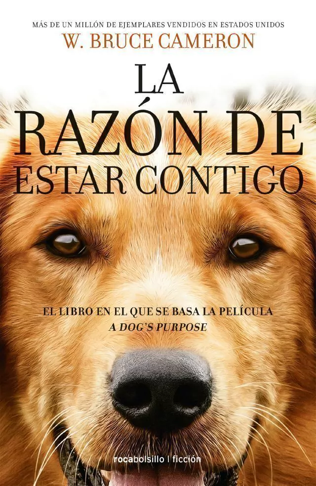 La Razon De Estar Contigo