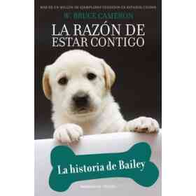 Historia De Bailey La. La Razon De Esta