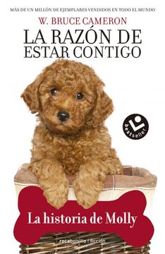 Historia De Molly La. La Razon De Estar
