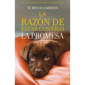 Razon De Estar Contigo 3. La Promesa