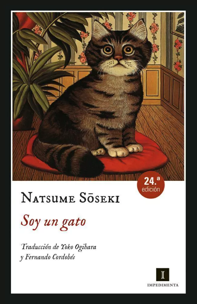 Soy Un Gato
