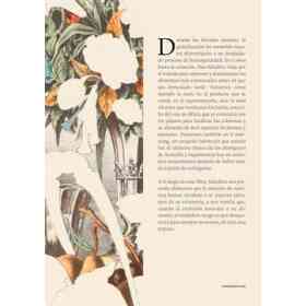 Comer Hasta La Extincion