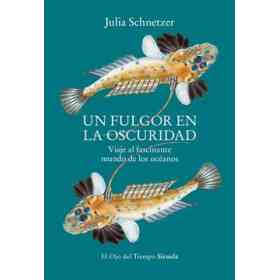 Un Fulgor en La Oscuridad