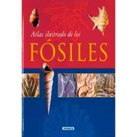 Atlas Ilustrado De Los Fosiles