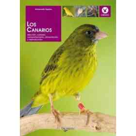 Canarios . Eleccion Cuidado Comportamiento Alimentacion Y Reproduccion Los