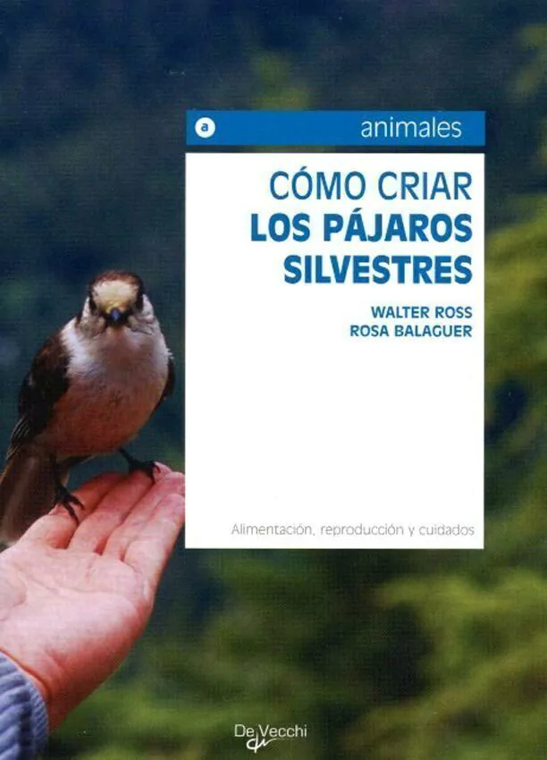 Los Pajaros Silvestres Como Criar