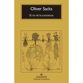 El Rio De La Conciencia
