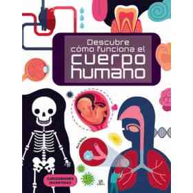 Descubre Cómo Funciona El Cuerpo Humano