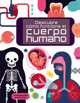 Descubre Cómo Funciona El Cuerpo Humano