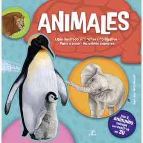 Animales -Kit De Construccion