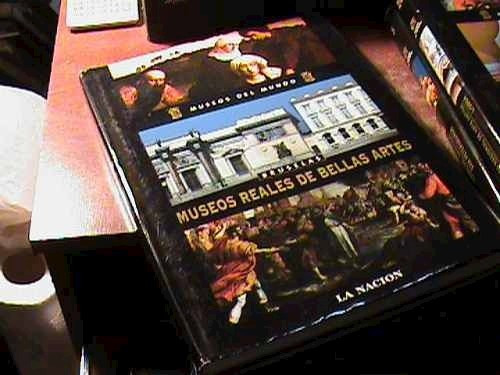 Museos Del Mundo: Museos Reales De Bellas Artes (Bruselas)