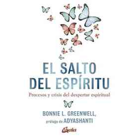 El Salto Del Espíritu: Procesos Y Crisis Del Despertar Espiritual (Advaita)
