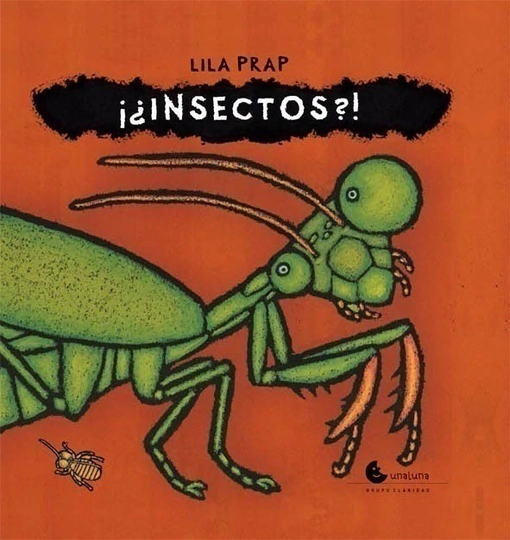 Insectos ?