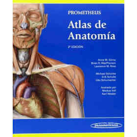 Atlas De Anatomia