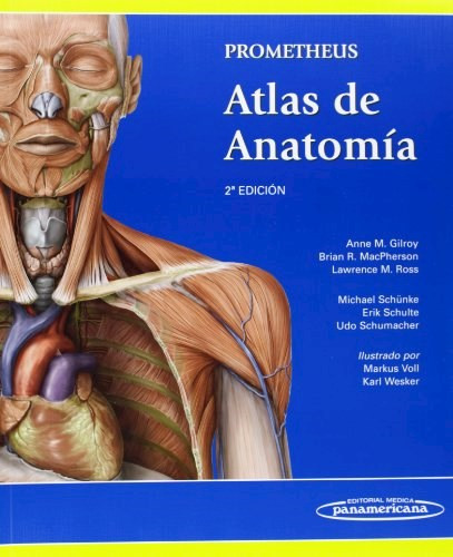 Atlas De Anatomia