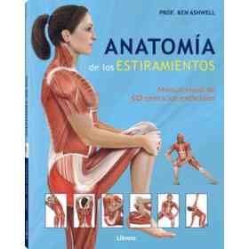 Anatomía De Los Estiramientos