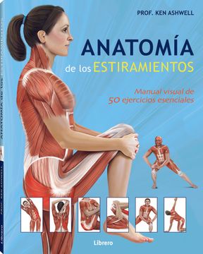 Anatomía De Los Estiramientos