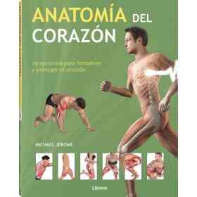 Anatomia Del Corazon
