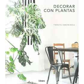 Decorar Con Plantas