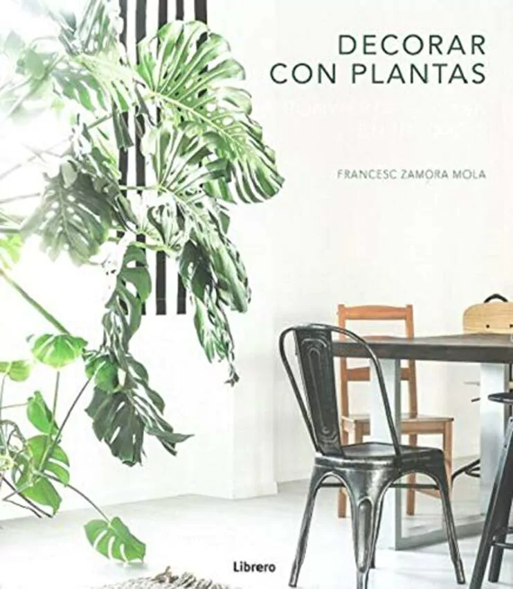 Decorar Con Plantas