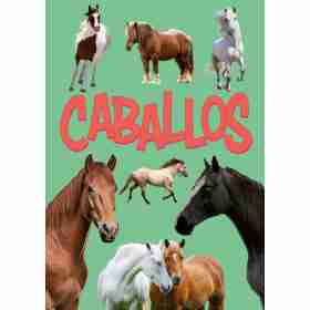 Caballos