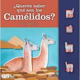 Quieres Saber Que Son Los Camelidos?
