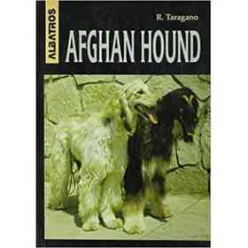 Afghan Hound