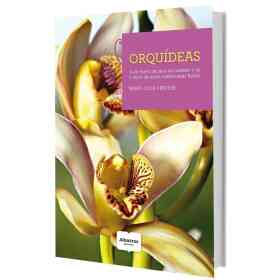 Orquideas