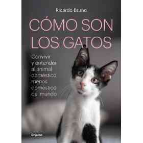 Como Son Los Gatos?