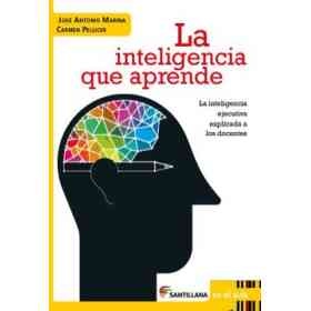 Inteligencia Que Aprende