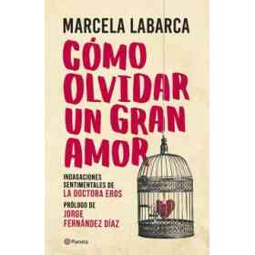 Como Olvidar Un Gran Amor