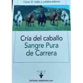 Cria Del Caballo Sangre Pura De Carrera