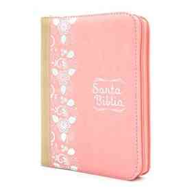 Biblia Reina Valera 1960 Mediana Color Rosa Y Beige