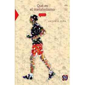 Qué Es El Metabolismo