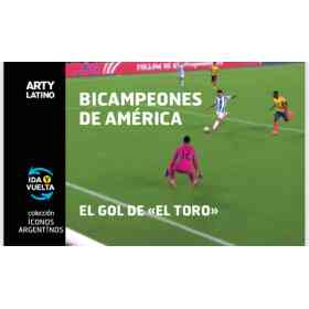 Bicampeones De America