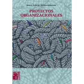 Proyectos Organizacionales - Maipue - Delia Gallardo