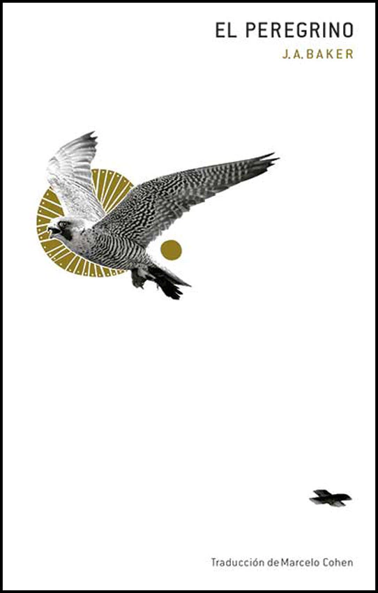 El Peregrino