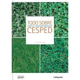 Todo Sobre Cesped