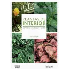 Plantas De Interior