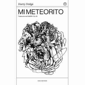 Mi Meteorito