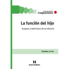 La Funcion Del Hijo. Espejos Y Laberintos De La Infancia