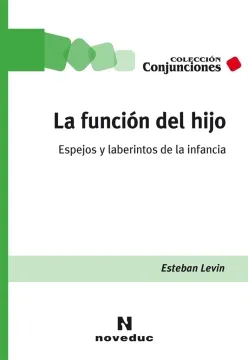 La Funcion Del Hijo. Espejos Y Laberintos De La Infancia