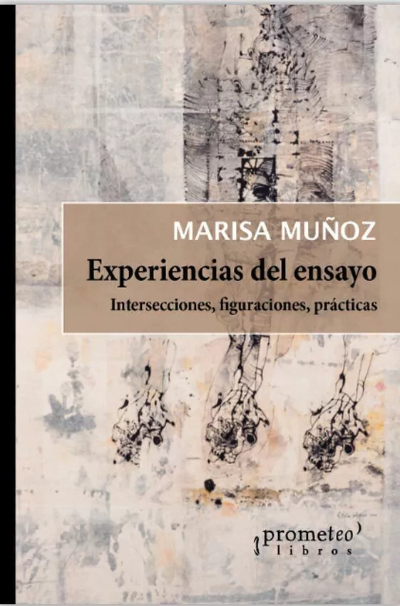 Experiencias Del Ensayo
